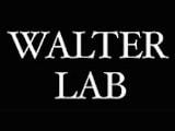 Кальянная Walter Lab, Краснодар. Адрес, телефон, фото, меню, часы работы, виртуальный тур, отзывы на сайте: krasnodar.navse360.ru